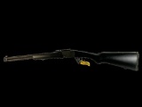 New Chiappa Double Badger Combination 410/22LR