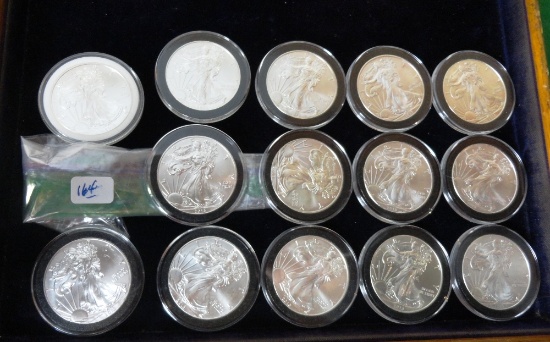 (14) 2013 U.S. Silver Eagle Dollars