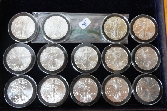 (14) 2013 U.S. Silver Eagle Dollars