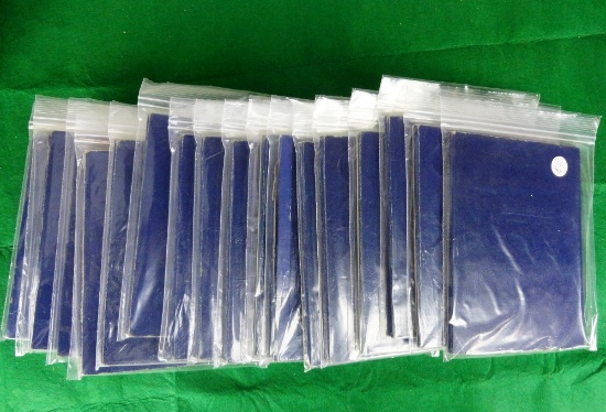 Stack of Blue Book Coin Holders