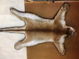 Mountain Lion Rug  - LOCAL PICKUP ONLY