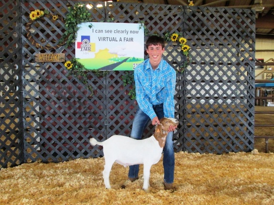 Conner Scheck Goat Tag#39, Weight: 65lbs