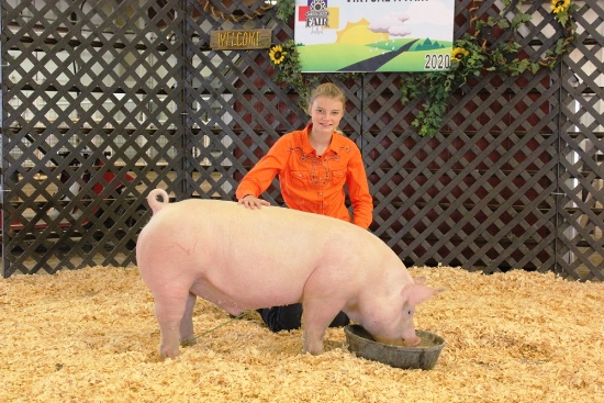 Regan Widener Swine Tag#44, Weight: 287lbs
