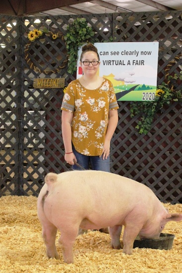 Analeah Ochs Swine Tag# 45, Weight: 260lbs