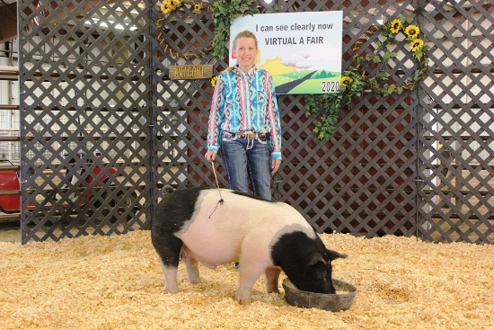 Julia Schlessiger Swine Tag#42, Weight: 262lbs