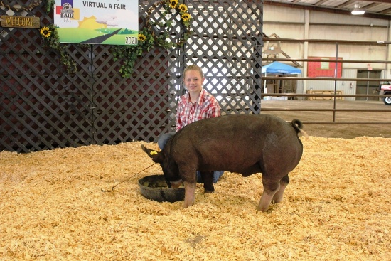 Sierra Ferguson Swine Tag#28, Weight: 246lbs