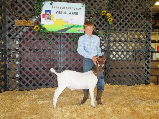 Russell Kern Goat Tag#24, Weight: 74lbs