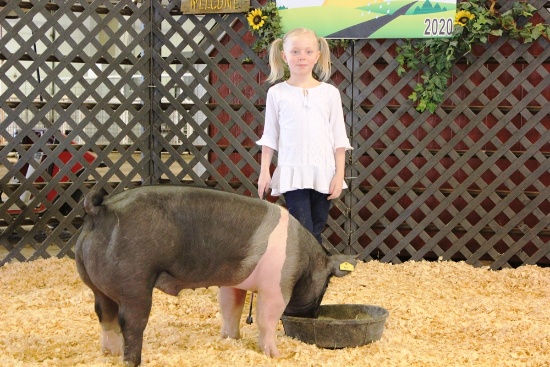 Amber Ochs Swine Tag#47, Weight: 230lbs
