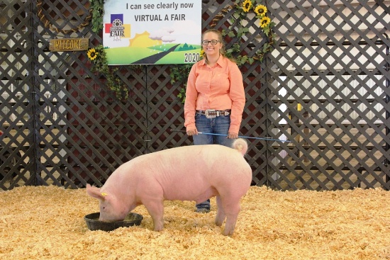 Paige Koehn Swine Tag#2,  Weight: 255lbs