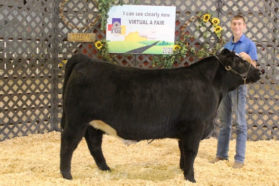 Luke Wondra Steer Tag#63780, Weight: 1202lbs