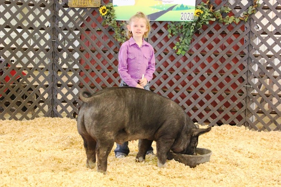 Kaleigh Reinert Swine Tag#15, Weight: 250lbs