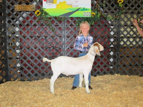 Addie Broeder Goat Tag#30, Weight: 78lbs