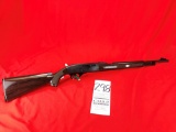 Remington Nylon 66 (Brown), 22LR Only
