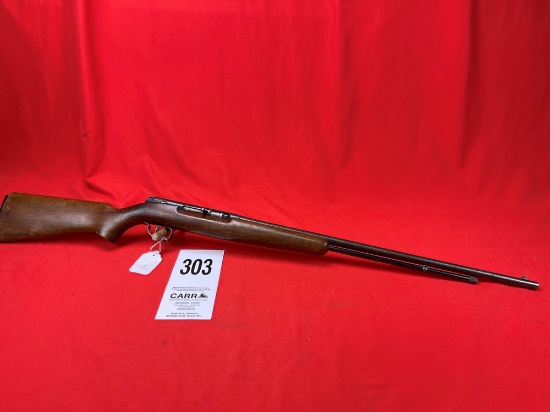 Remington 550-1, 22-Cal., NVSN