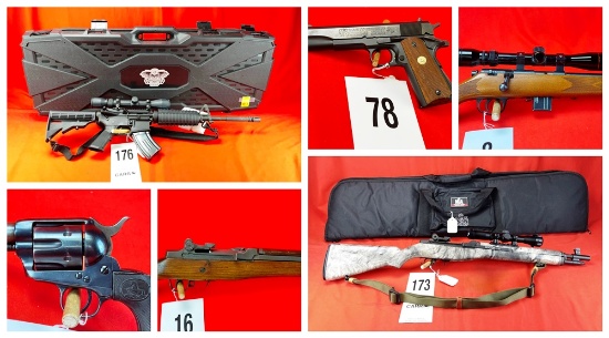Firearms Auction