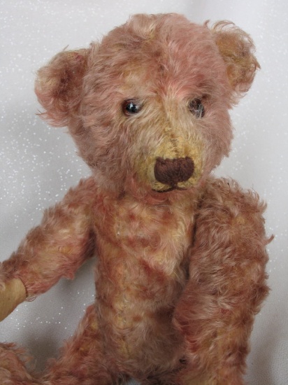 German 1928-30s Steiff 'Petsy Type' bear 13" (33cm). Auburn tipped beige mo
