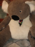 Modern oversize CA Australia Koala bear unjointed 46