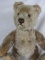 Scarce 1950s Steiff Cinnamon mohair bear, 12