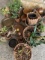 LIVE PLANTS AND POTS