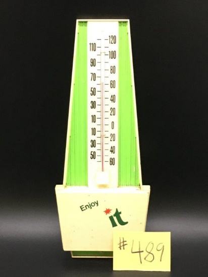 1x THERMOMETER