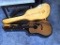 LYLE ACOUTIC GUITAR W/ CASE