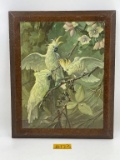 FRAMED PAINTING OF COCKATOO'S