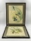 PAIR OF FRAMED HUMMING BIRD PRINTS