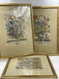 THREE FRAMED FLORAL PRINTS