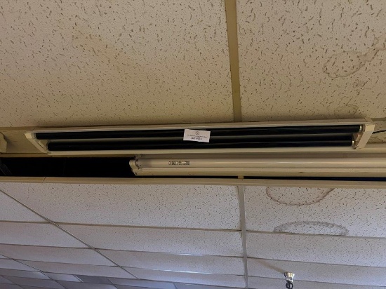 THREE LIGHT FIXTURES, TWO BLACK LIGHTS AND ONE FLUORESCENT LIGHT