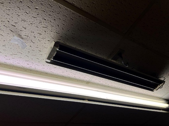 TWO ELECTRIC LIGHTS WITH BLACK LIGHT BULBS