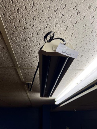 THREE ELECTRIC LIGTHS WITH NEON BULBS