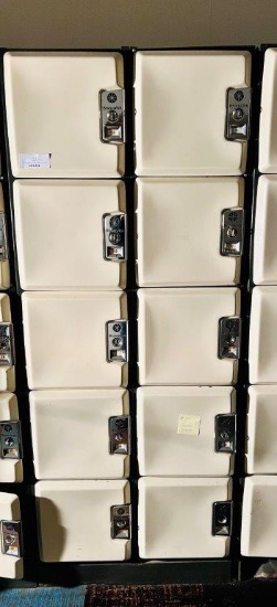 LOCKERS: 10 CUBBIES - PLEASE VIEW EACH LOT FOR CONDITION, OR ATTEND OUR PREVIEW DAY.