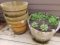 WOODEN BARREL PLANTER LOT