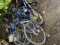 LARGE LOT OF BICYCLES