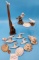 Seagulls and Sea Shells Collection