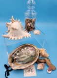 Glass Jar with Rocks/ Driftwood, Shells, and more