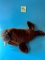 Walrus Plush approx 20 inches