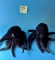 2 Folkmanis Spider Plush Hand Puppets