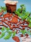 One Orig Box Aurora Prehistoric Scenes