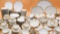 Large Collection of Haviland Limoges China and Serving Dishes
