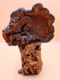 Vintage Burl Wood and Dried Mushroom Decor