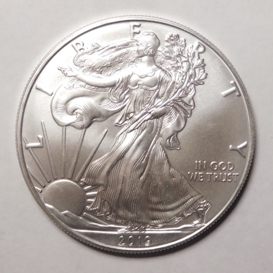 (19) 2019 1 OZ. UNC SILVER EAGLES (19 COINS)