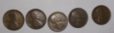 LOT OF (5) 1916-S LINCOLN CENTS AVE. CIRC. (5 COINS)