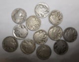 LOT OF TWELVE EARLY DATE BUFFALO NICKELS AVE. CIRC. (12 COINS)