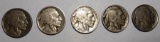 LOT OF FIVE EARLY DATE BUFFALOS AVE. CIRC. (5 COINS)