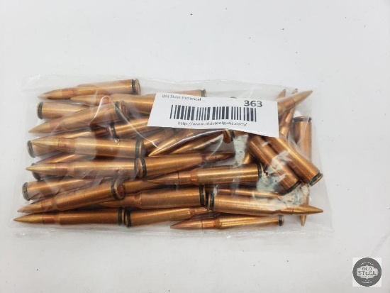 30 Rounds of 7.62x51 NATO