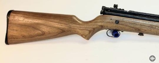 Crosman Model 114 Pellet Rifle .22 Caliber