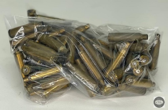 95 Fired Casings of 22-250