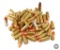 Bag of 9x21mm Ammunition