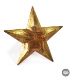 Chinese Star Pin - Responsibility Marking
